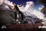 Skate - Image 10
