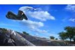 Skate - Image 13 (Small)