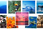 SkyDrive_Photos