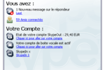 Skype 3.1.0.144 pour Windows (350x550)