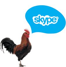 Skype blogue francais jpg
