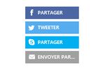 Skype-bouton-partage-logo