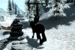 Skyrim (21)