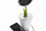 Solar Sunflower