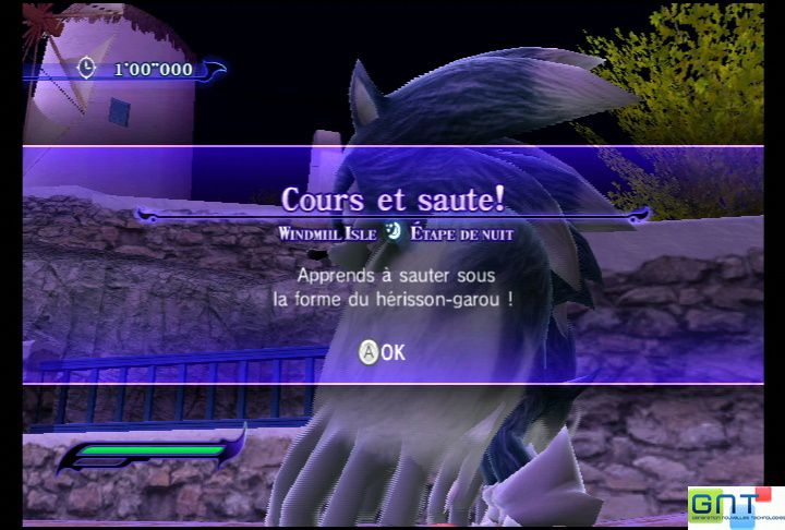 Sonic Unleashed (8)