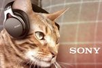 sony animalia