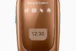 Sony Ericsson Z310