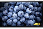 Sony Xperia Z5 Premium