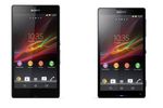 sonyzetzl
