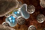 Soul Bubbles 6