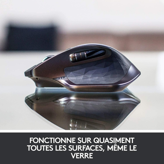 la souris Logitech MX Master