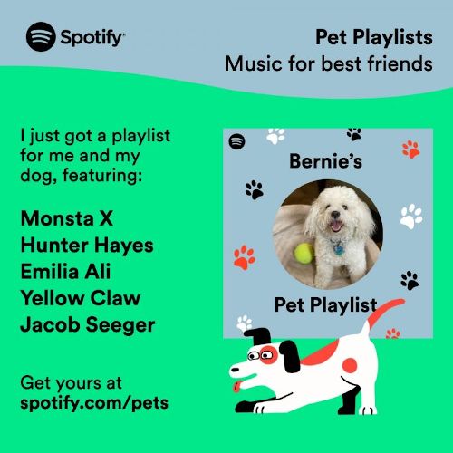 spotify-pet-playlist