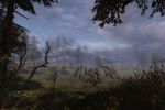 STALKER Clear Sky - Image 9
