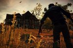 State of Decay - vignette