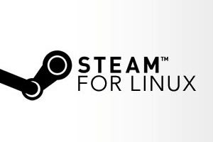 Steam Linux - logo