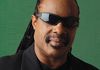 VGA 09 : Stevie Wonder plaide pour les joueurs aveugles