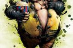 street-fighter-iv-rufus (1)