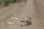 Street-View-ane-botswana