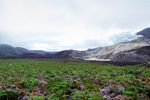 Street-View-Galapagos