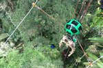 Street-View-Trekker-Amazonie-tyrolienne