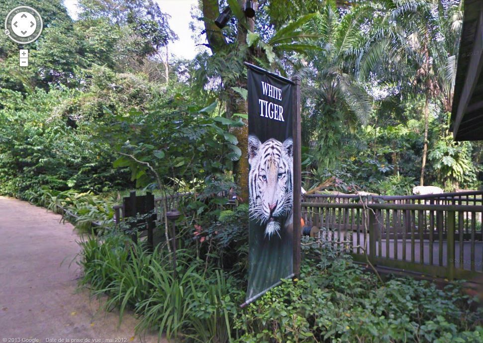 Street-View-zoo-Singapour