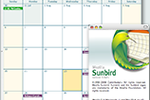 Sunbird