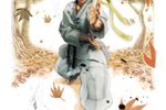 Super Street Fighter IV - artwork