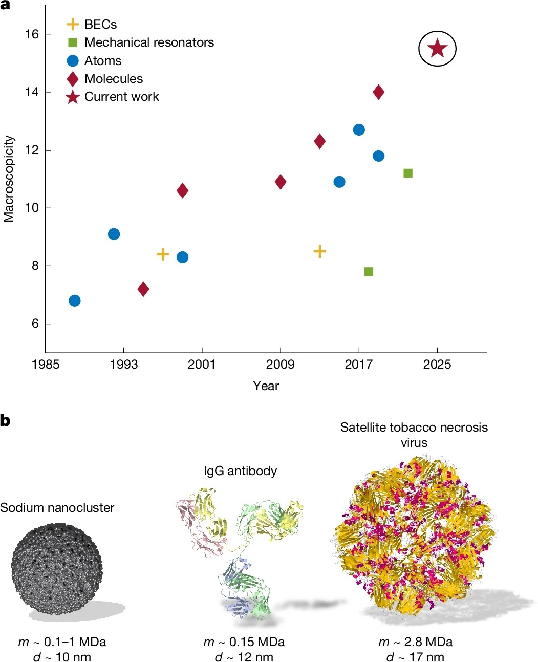 supersposition quantique experience MUSCLE