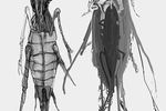 Tango Gameworks - dessin Mr. 0