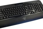 Tarantula Razer