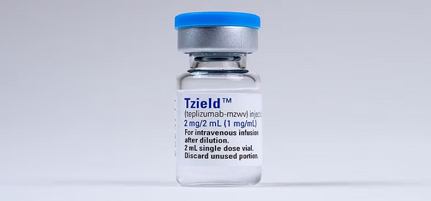 Teizeild