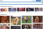 Tenor Gif