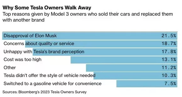 Tesla Bloomberg perception Elon Musk