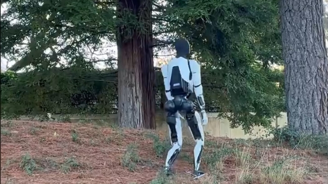 Tesla bot optimus promenade foret