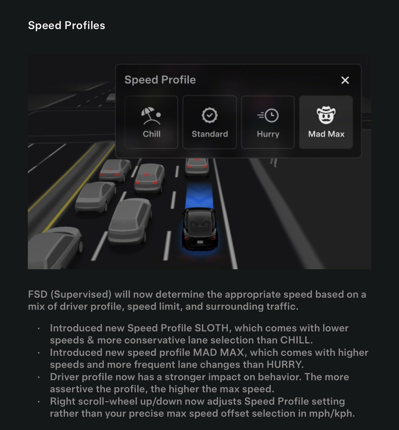 Tesla FSD Mad Max profil
