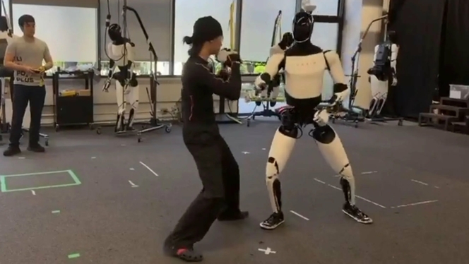 Tesla Optimus kung fu 03
