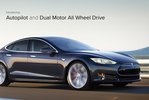 Tesla S D