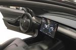 Tesla vignette