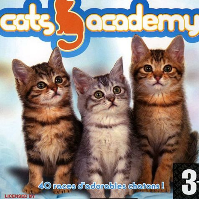 Test Cats academy