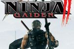 Test Ninja Gaiden 2