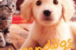 Test Nintendogs & Cats