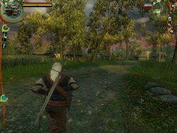 test the witcher pc image (37)