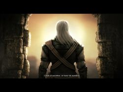 test the witcher pc image (3)