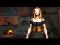 test the witcher pc image (41)