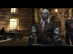 test the witcher pc image (42)
