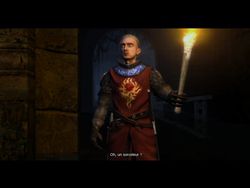 test the witcher pc image (55)