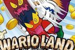 Test Wario Land The Shake Dimension