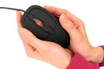 Thanko Warming Mouse 1