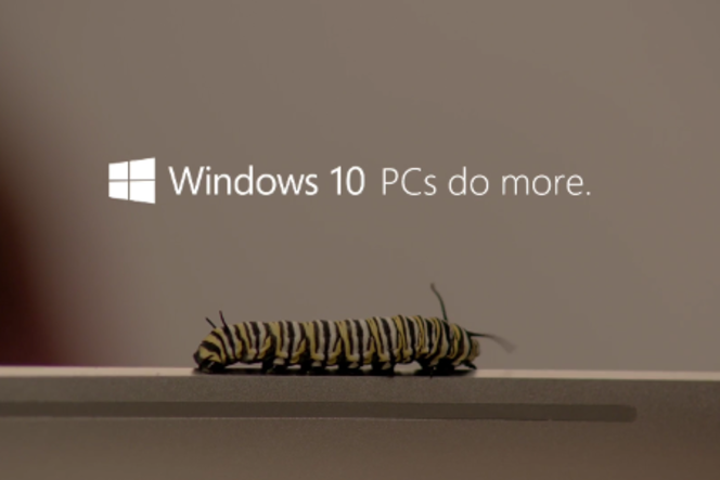 The-Bug-Chicks-Windows-10