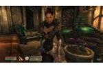 The Elder Scrolls 4 : Oblivion - Shivering Isles - Image 9 (Small)